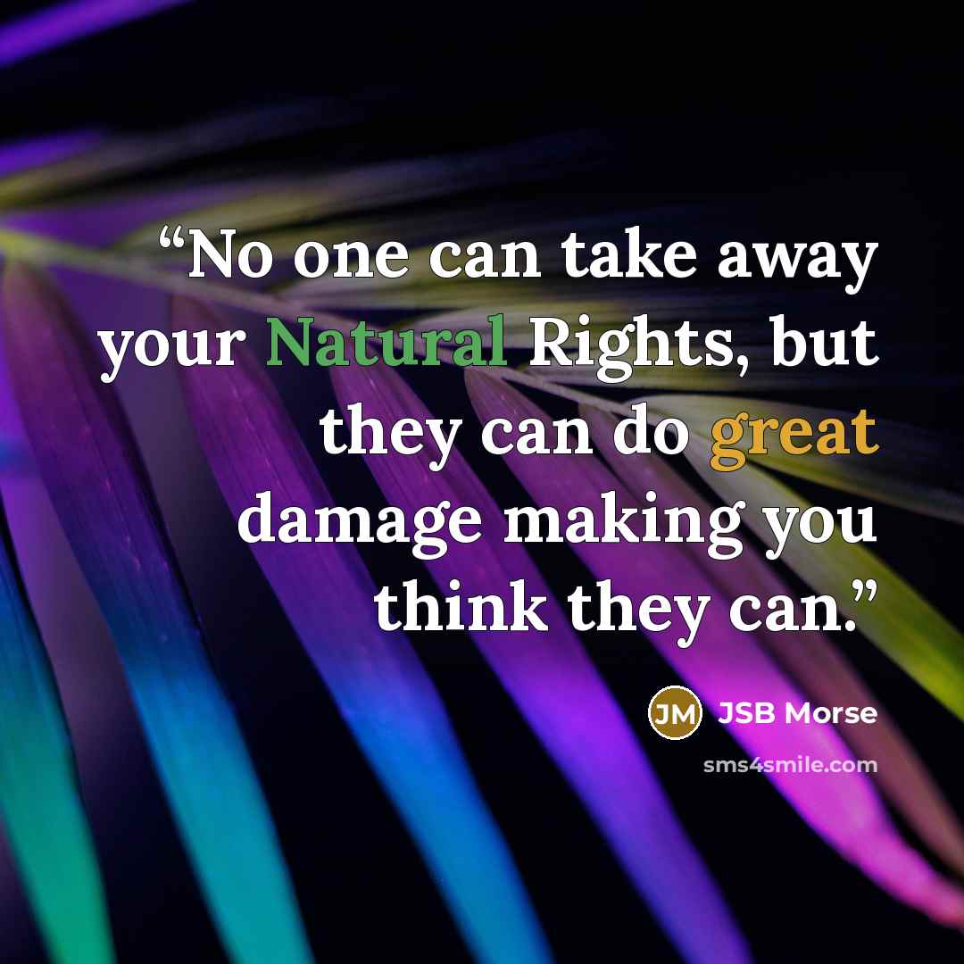 “No one can take away your Natural Rights, but they can do great damage making you think they can.” quote by JSB Morse