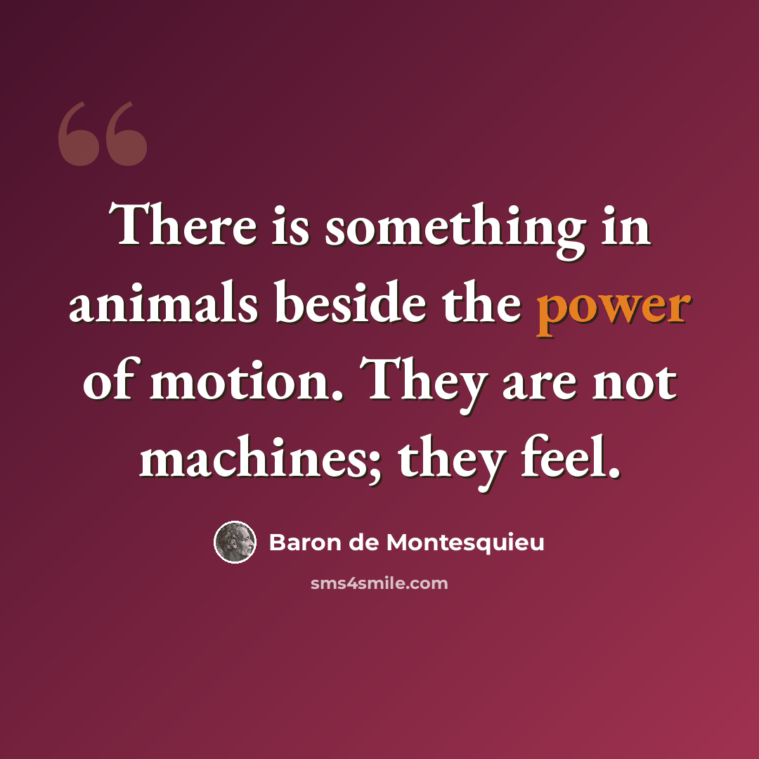 “There is something in animals beside the power of motion. They are not machines; they feel.” quote by Baron de Montesquieu
