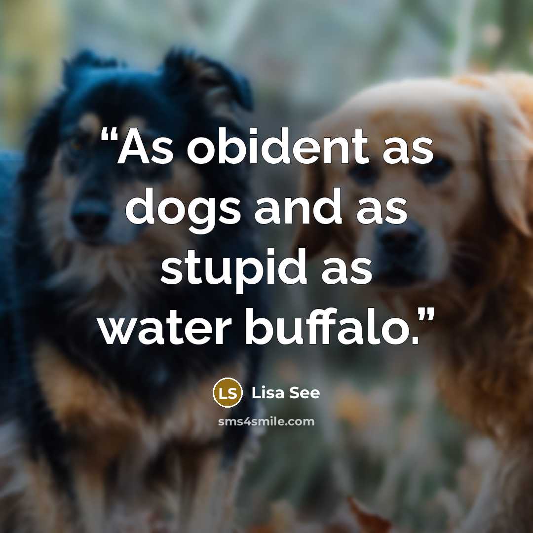 “As obident as dogs and as stupid as water buffalo.” quote by Lisa See