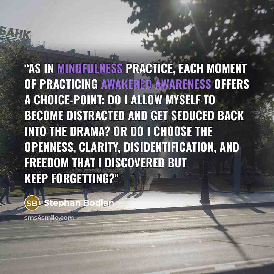 “As in mindfulness practice, each moment of practicing awakened awareness offers a choice-point: Do I allow myself to become distracted and get seduced back into the drama? Or do I choose the openness, clarity, disidentification, and freedom that I discovered but keep forgetting?” quote by Stephan Bodian