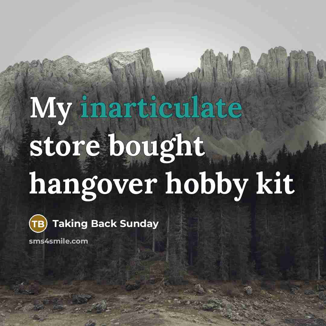 “My inarticulate store bought hangover hobby kit” quote by Taking Back Sunday