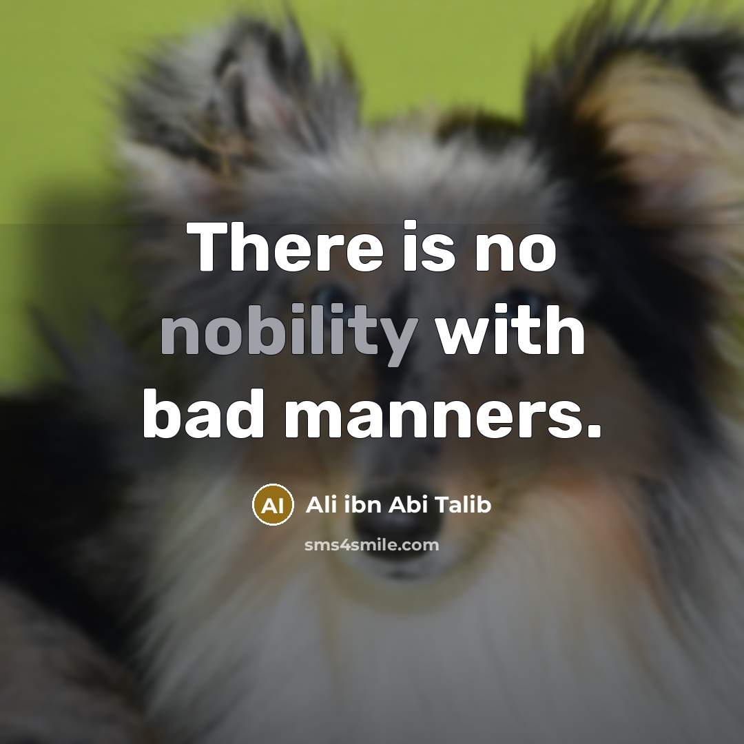 “There is no nobility with bad manners.” quote by Ali ibn Abi Talib