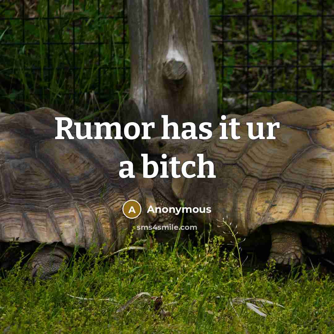 “Rumor has it ur a bitch” quote by Anonymous