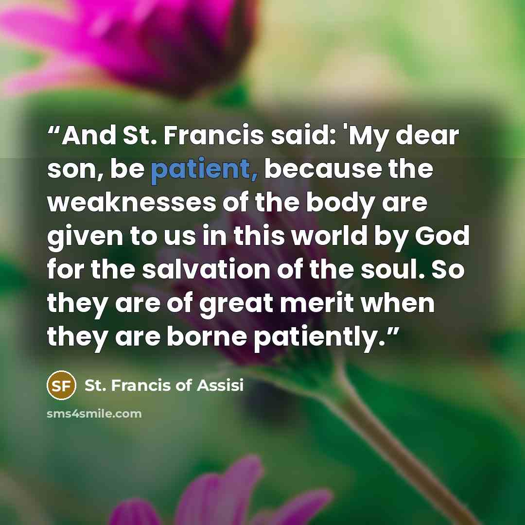 “And St. Francis said: 'My dear son, be patient, because the weaknesses of the body are given to us in this world by God for the salvation of the soul. So they are of great merit when they are borne patiently.” quote by St. Francis of Assisi