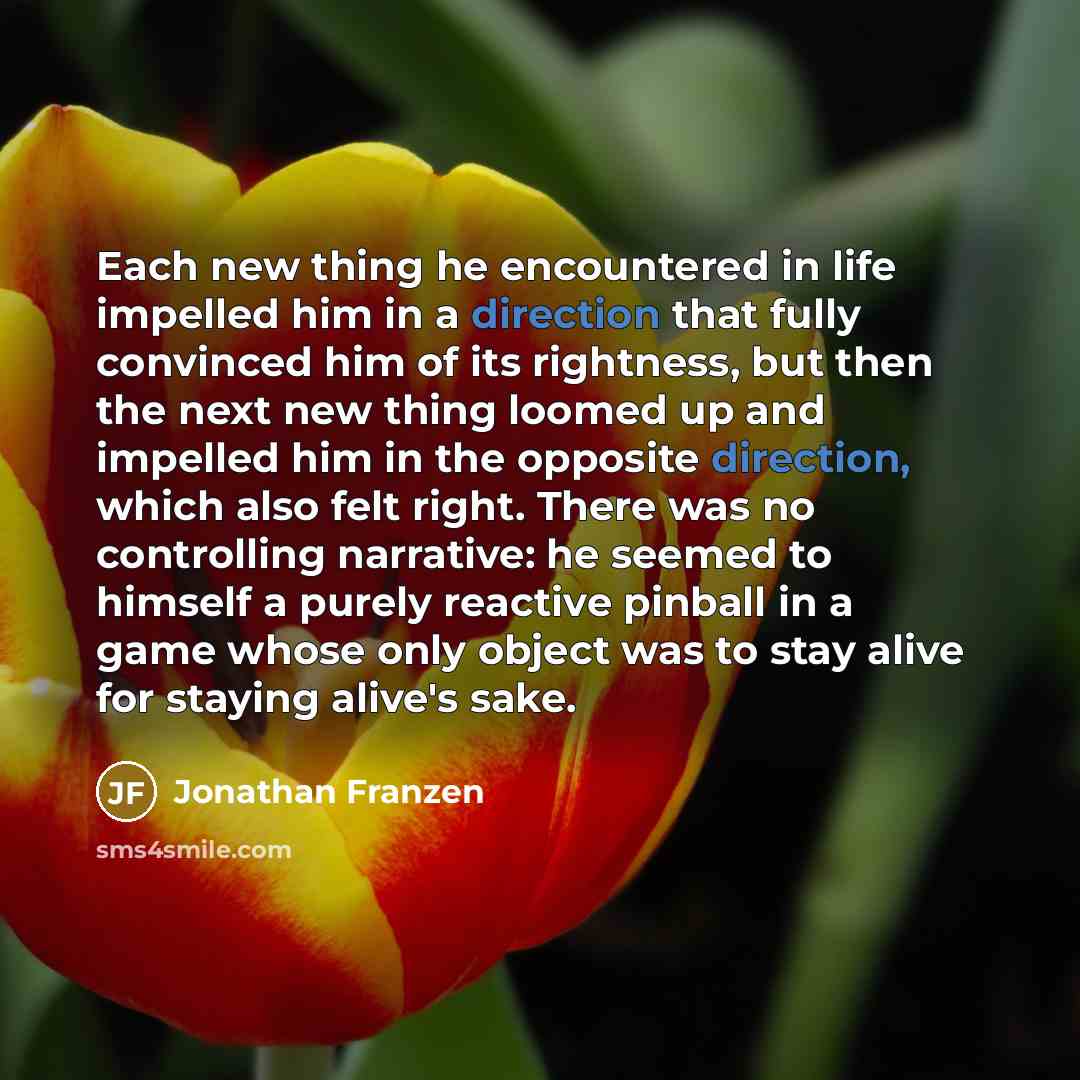 “Each new thing he encountered in life impelled him in a direction that fully convinced him of its rightness, but then the next new thing loomed up and impelled him in the opposite direction, which also felt right. There was no controlling narrative: he seemed to himself a purely reactive pinball…” quote by Jonathan Franzen
