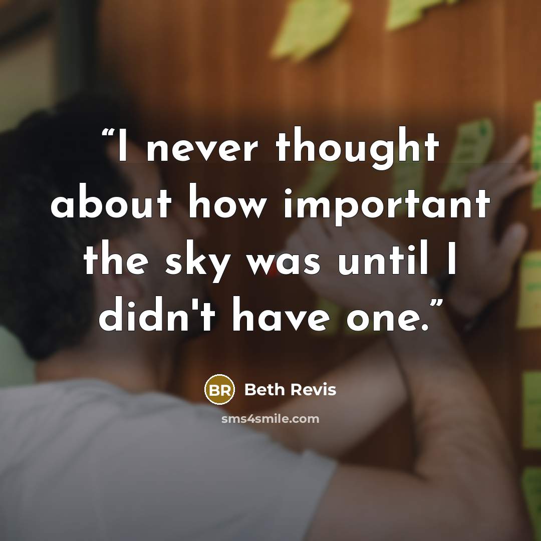 “I never thought about how important the sky was until I didn't have one.” quote by Beth Revis