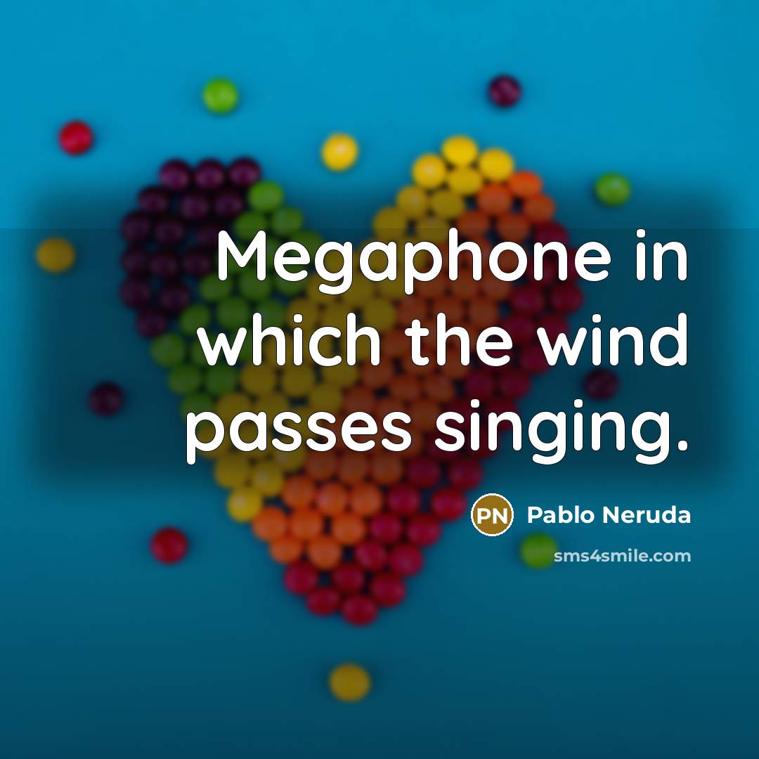 “Megaphone in which the wind passes singing.” quote by Pablo Neruda