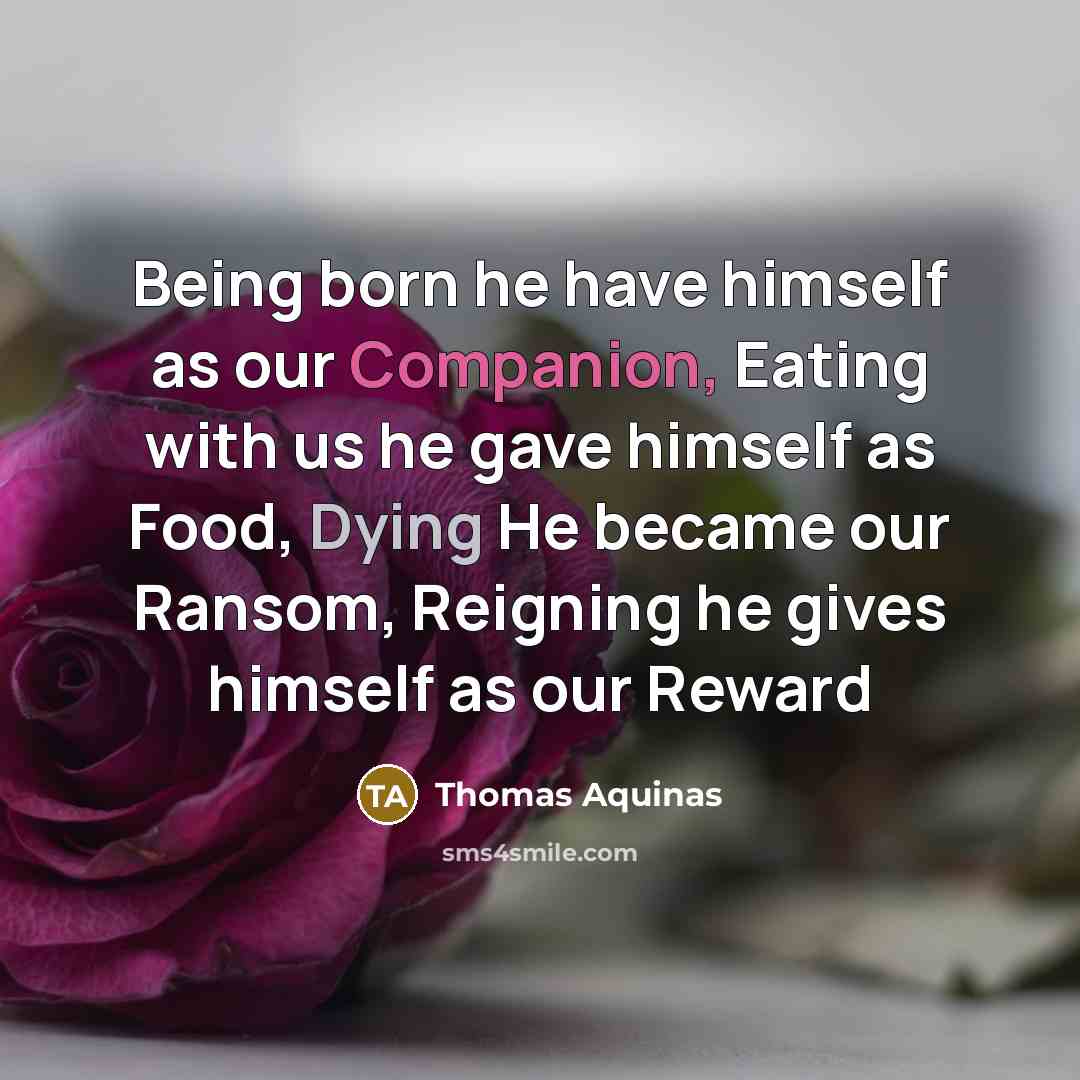 “Being born he have himself as our Companion, Eating with us he gave himself as Food, Dying He became our Ransom, Reigning he gives himself as our Reward” quote by Thomas Aquinas