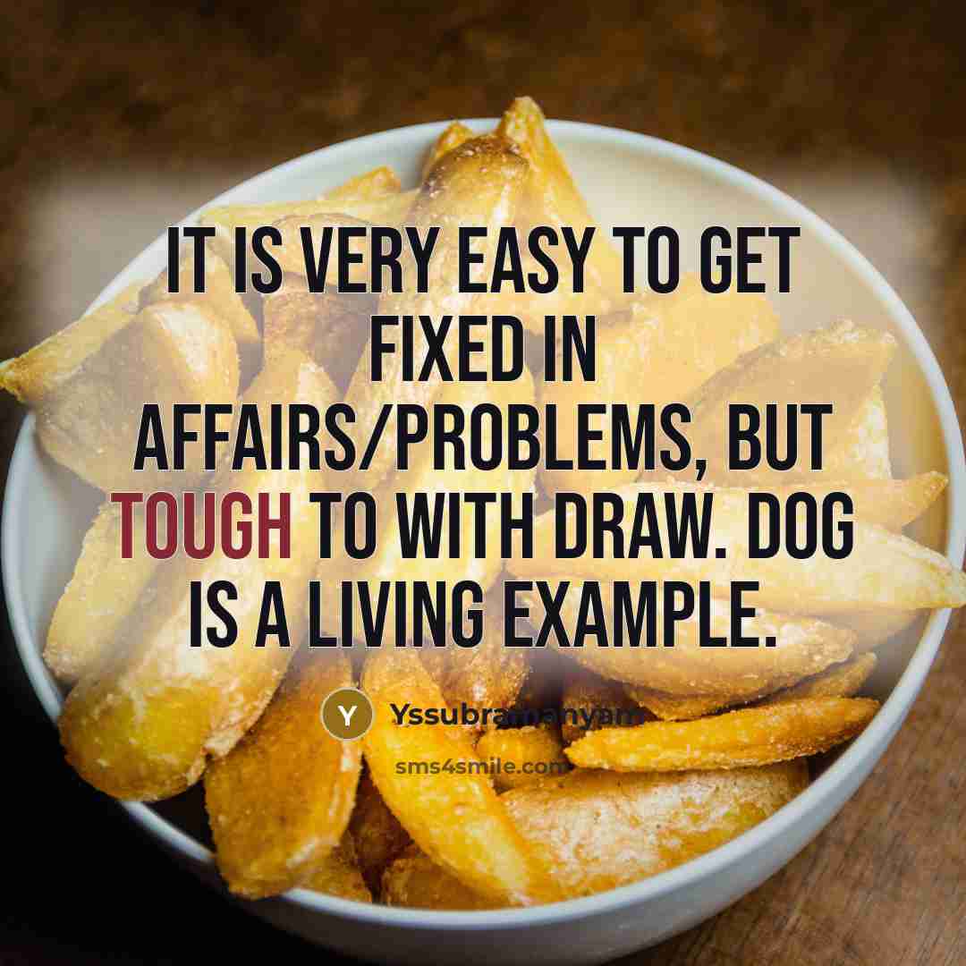 “It is very easy to get fixed in affairs/problems, but tough to with draw. dog is a living example.” quote by Yssubramanyam