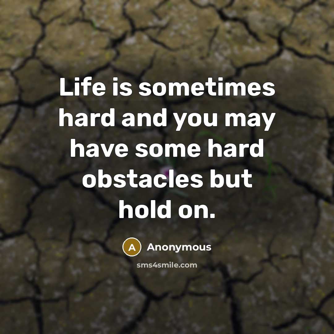 “Life is sometimes hard and you may have some hard obstacles but hold on.” quote by Anonymous
