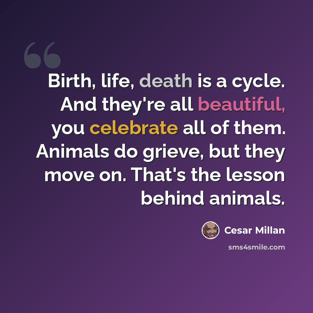 “Birth, life, death is a cycle. And they're all beautiful, you celebrate all of them. Animals do grieve, but they move on. That's the lesson behind animals.” quote by Cesar Millan