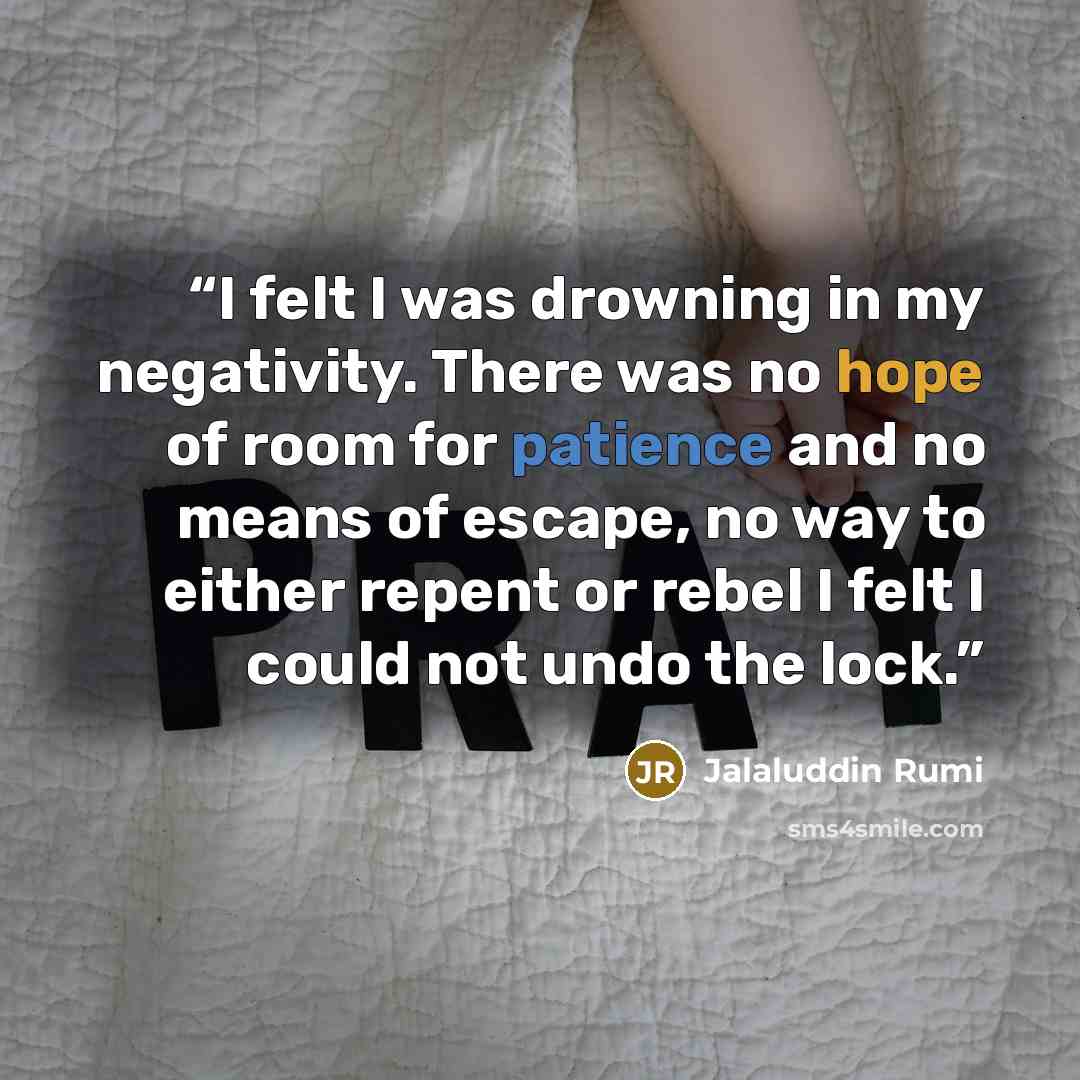 “I felt I was drowning in my negativity. There was no hope of room for patience and no means of escape, no way to either repent or rebel I felt I could not undo the lock.” quote by Jalaluddin Rumi