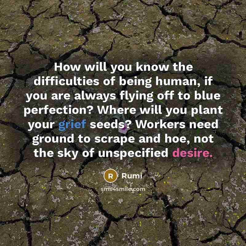 “How will you know the difficulties of being human, if you are always flying off to blue perfection? Where will you plant your grief seeds? Workers need ground to scrape and hoe, not the sky of unspecified desire.” quote by Rumi
