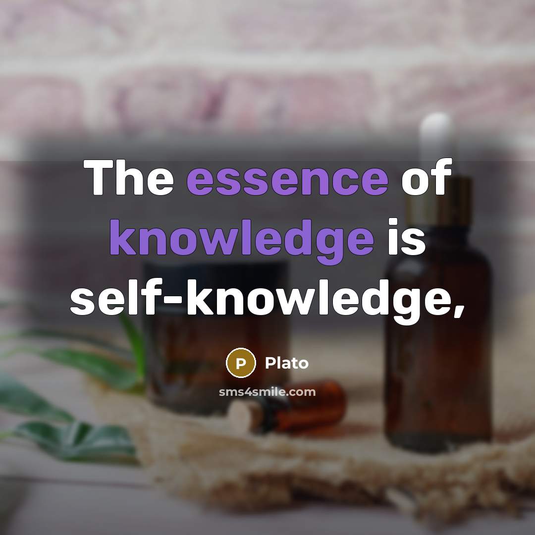 “The essence of knowledge is self-knowledge,” quote by Plato