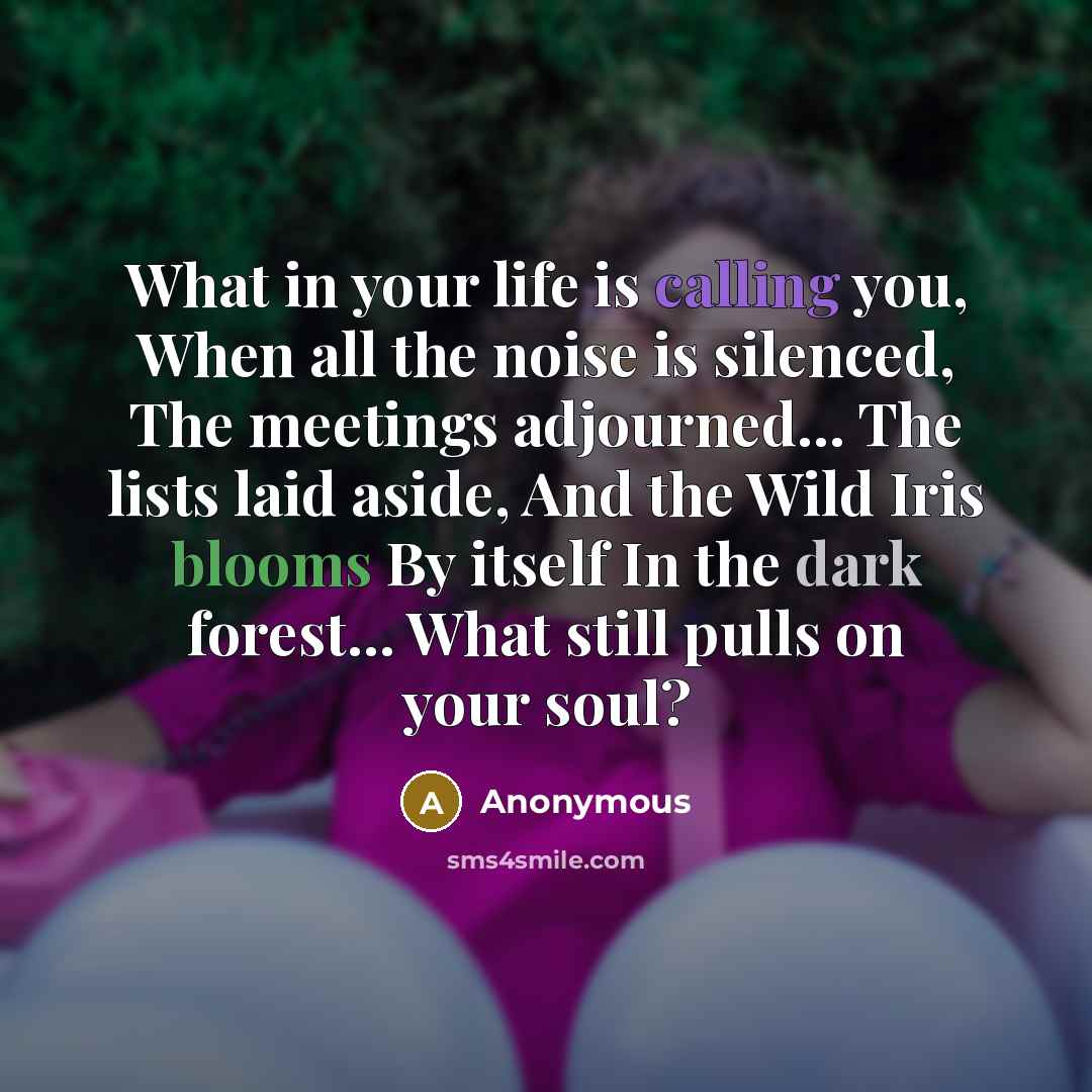 “What in your life is calling you, When all the noise is silenced, The meetings adjourned... The lists laid aside, And the Wild Iris blooms By itself In the dark forest... What still pulls on your soul?” quote by Anonymous