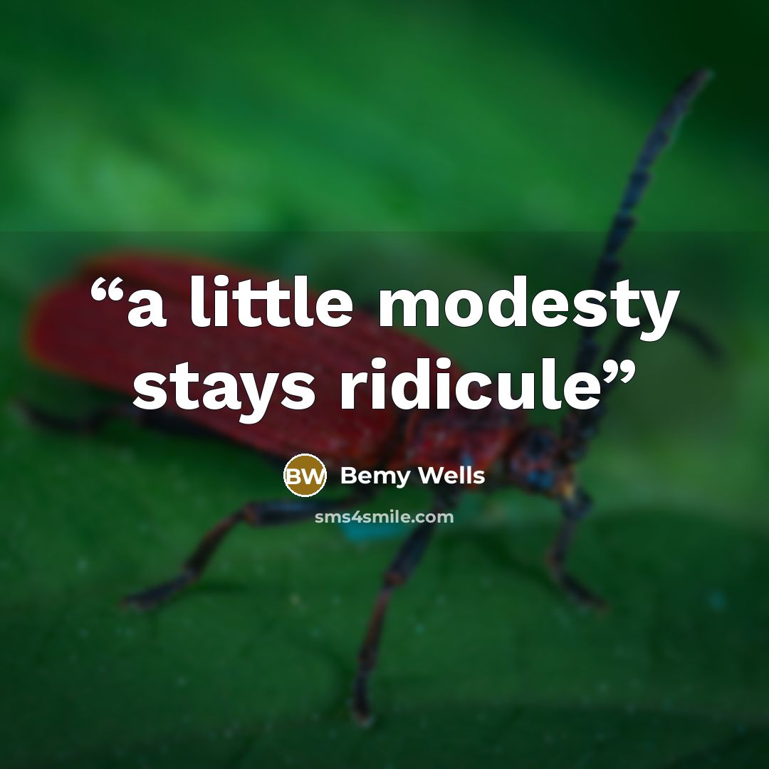 “a little modesty stays ridicule” quote by Bemy Wells