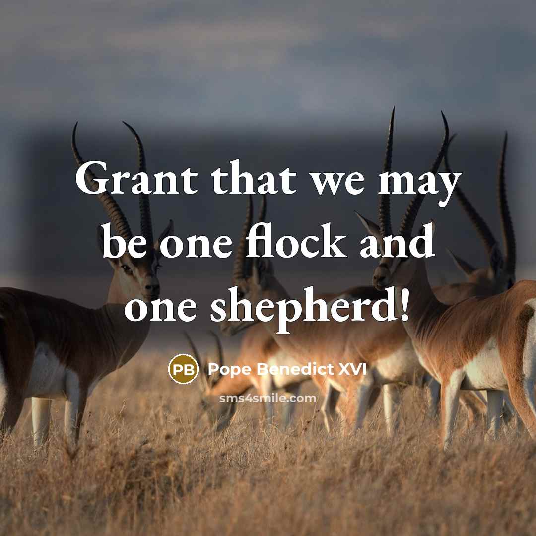 “Grant that we may be one flock and one shepherd!” quote by Pope Benedict XVI