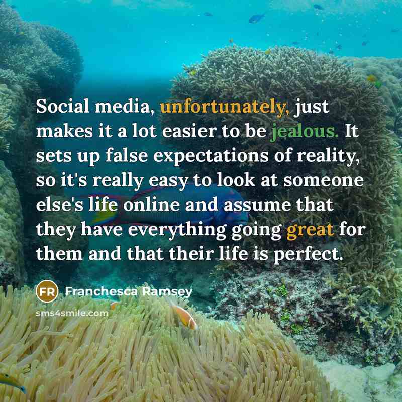 “Social media, unfortunately, just makes it a lot easier to be jealous. It sets up false expectations of reality, so it's really easy to look at someone else's life online and assume that they have everything going great for them and that their life is perfect.” quote by Franchesca Ramsey