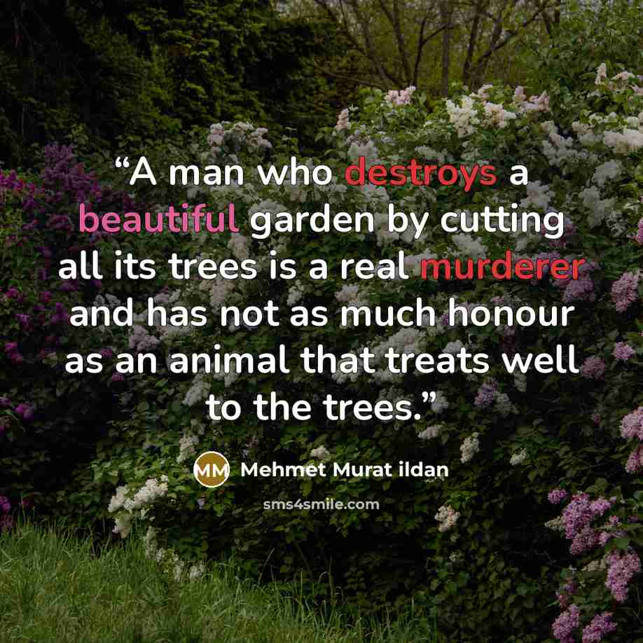 “A man who destroys a beautiful garden by cutting all its trees is a real murderer and has not as much honour as an animal that treats well to the trees.” quote by Mehmet Murat ildan
