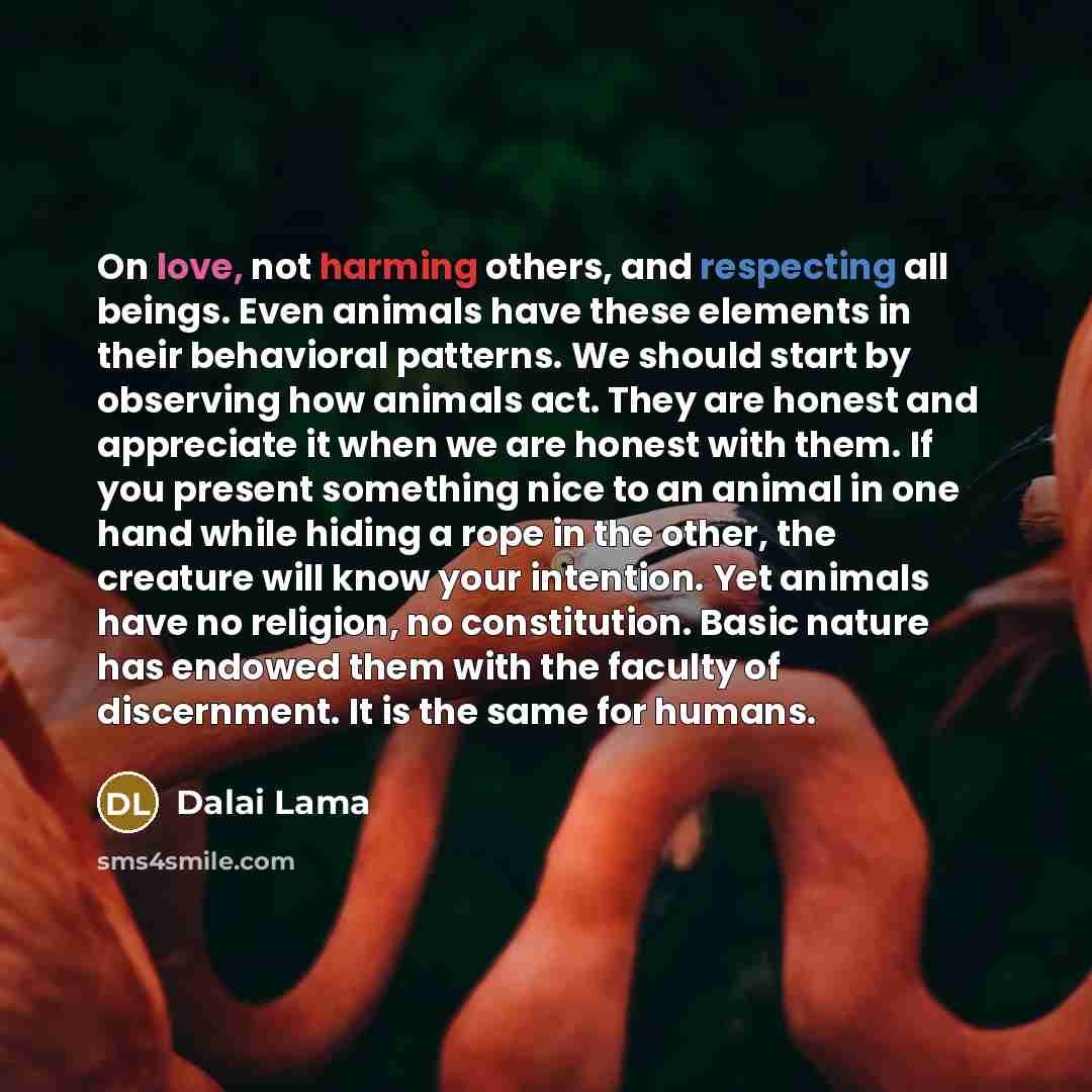 “On love, not harming others, and respecting all beings. Even animals have these elements in their behavioral patterns. We should start by observing how animals act. They are honest and appreciate it when we are honest with them. If you present something nice to an animal in one hand while hiding a…” quote by Dalai Lama
