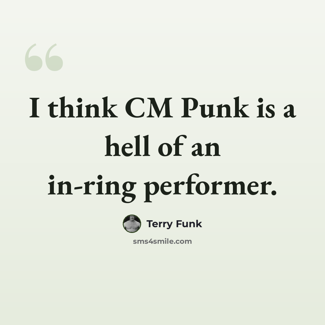 “I think CM Punk is a hell of an in-ring performer.” quote by Terry Funk