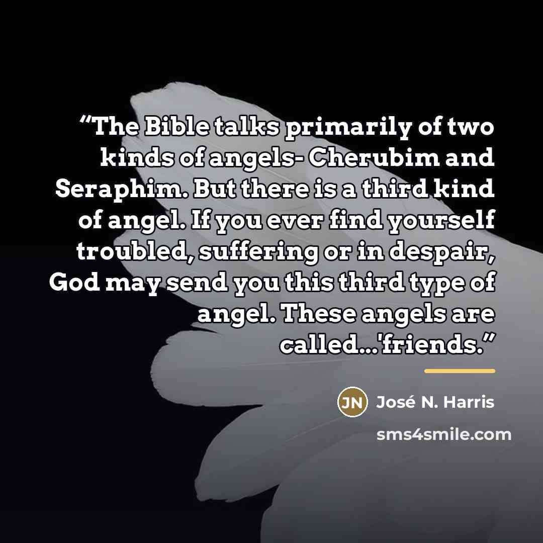 “The Bible talks primarily of two kinds of angels- Cherubim and Seraphim. But there is a third kind of angel. If you ever find yourself troubled, suffering or in despair, God may send you this third type of angel. These angels are called...'friends.” quote by José N. Harris