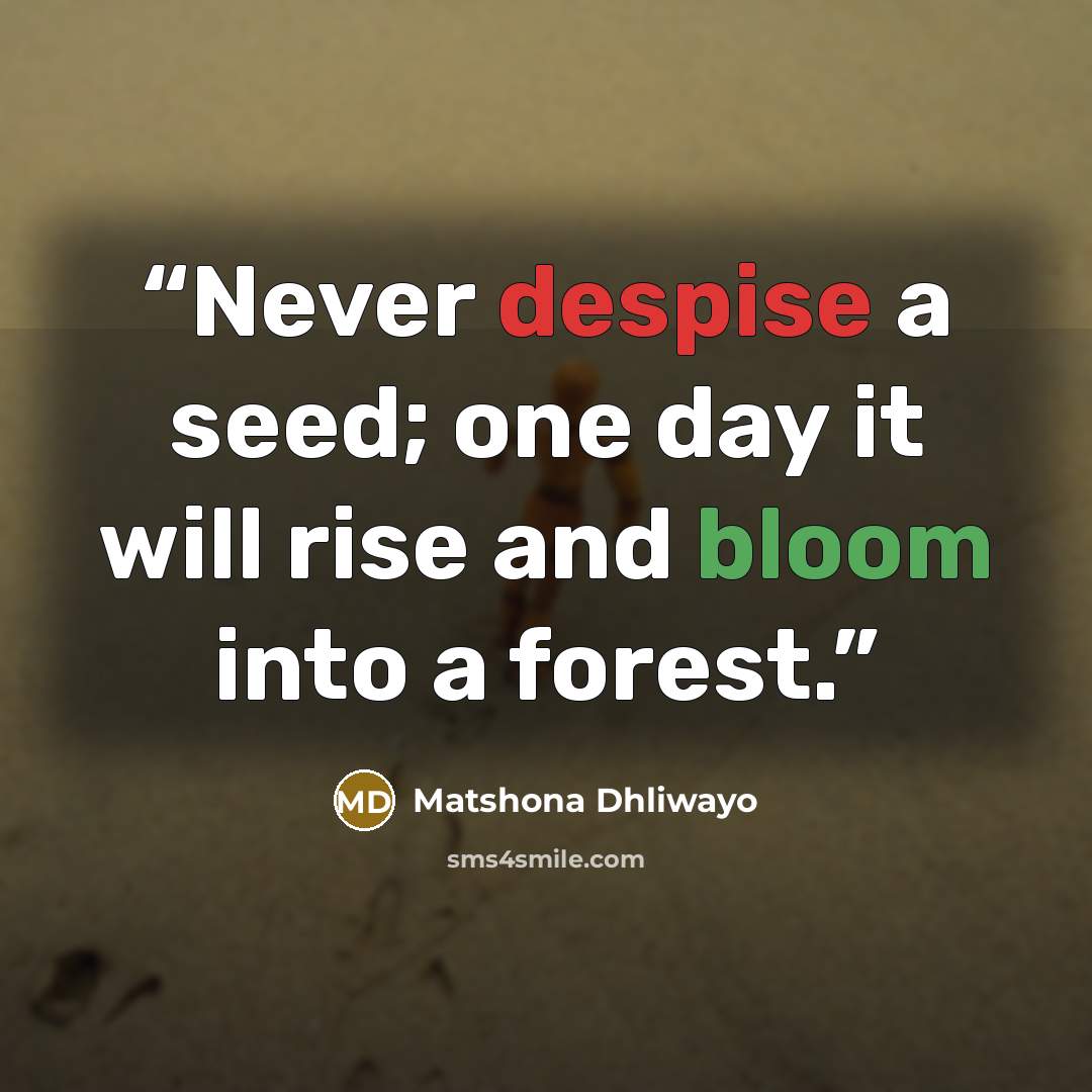 “Never despise a seed; one day it will rise and bloom into a forest.” quote by Matshona Dhliwayo