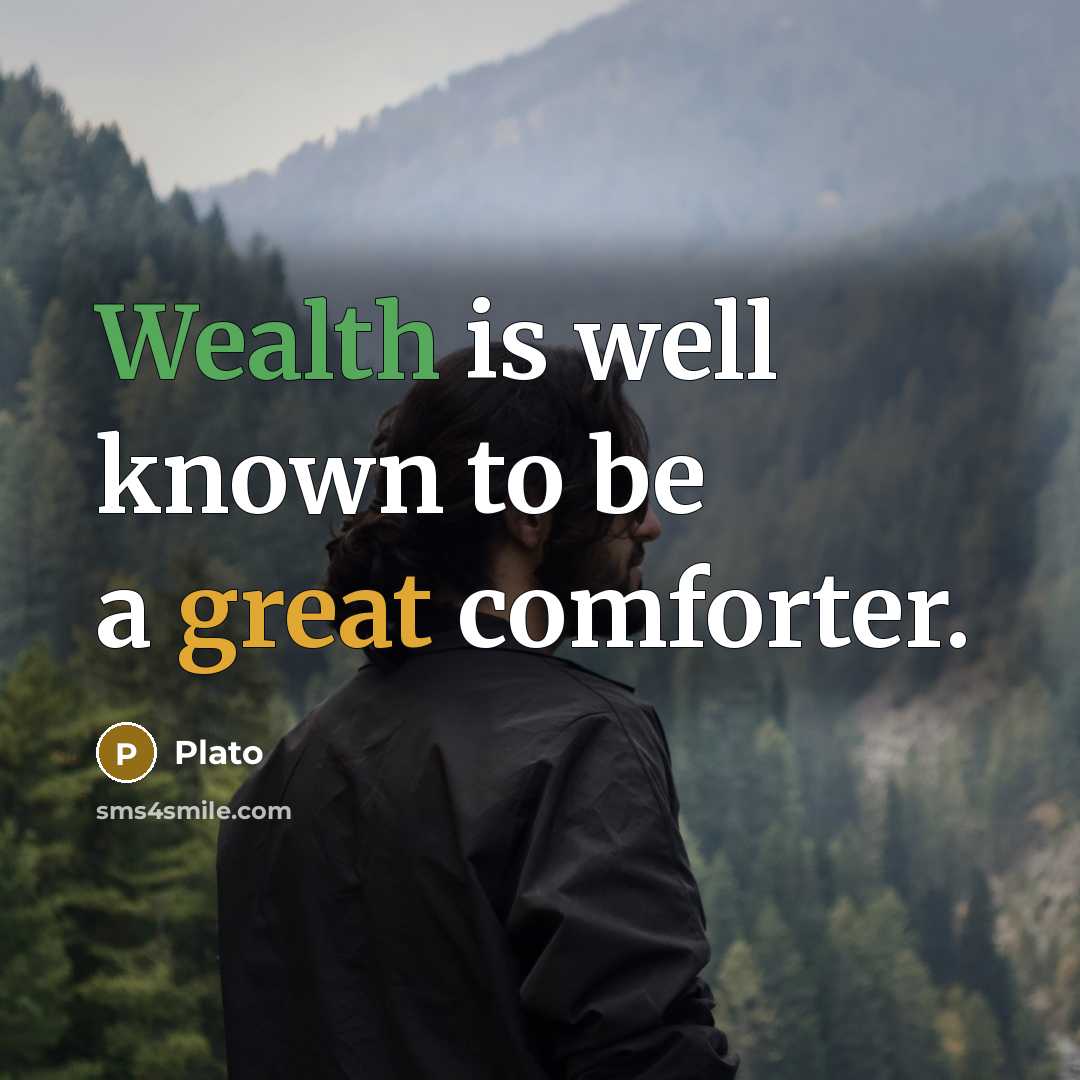 “Wealth is well known to be a great comforter.” quote by Plato