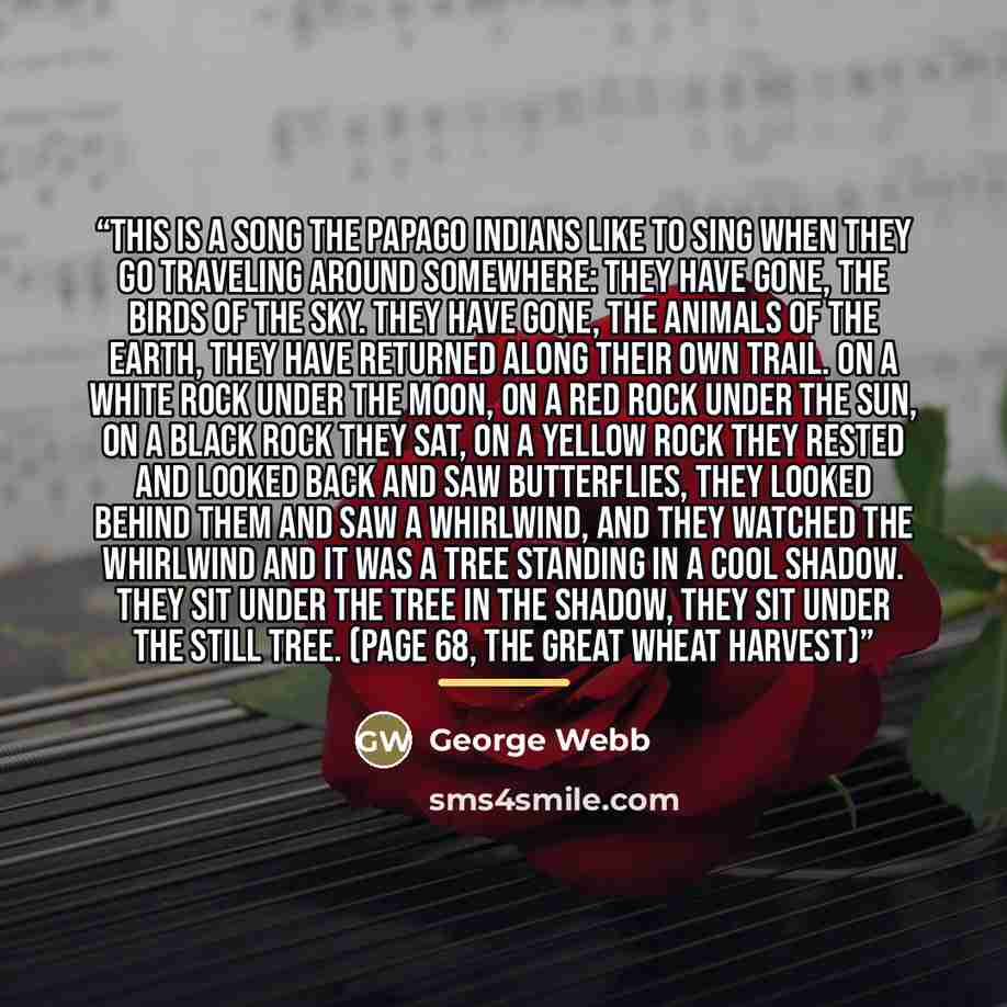 “This is a song the Papago Indians like to sing when they go traveling around somewhere: They have gone, The birds of the sky. They have gone, The animals of the earth, They have returned Along their own trail. On a white rock under the Moon, On a red rock under the Sun, On a black rock they sat…” quote by George Webb