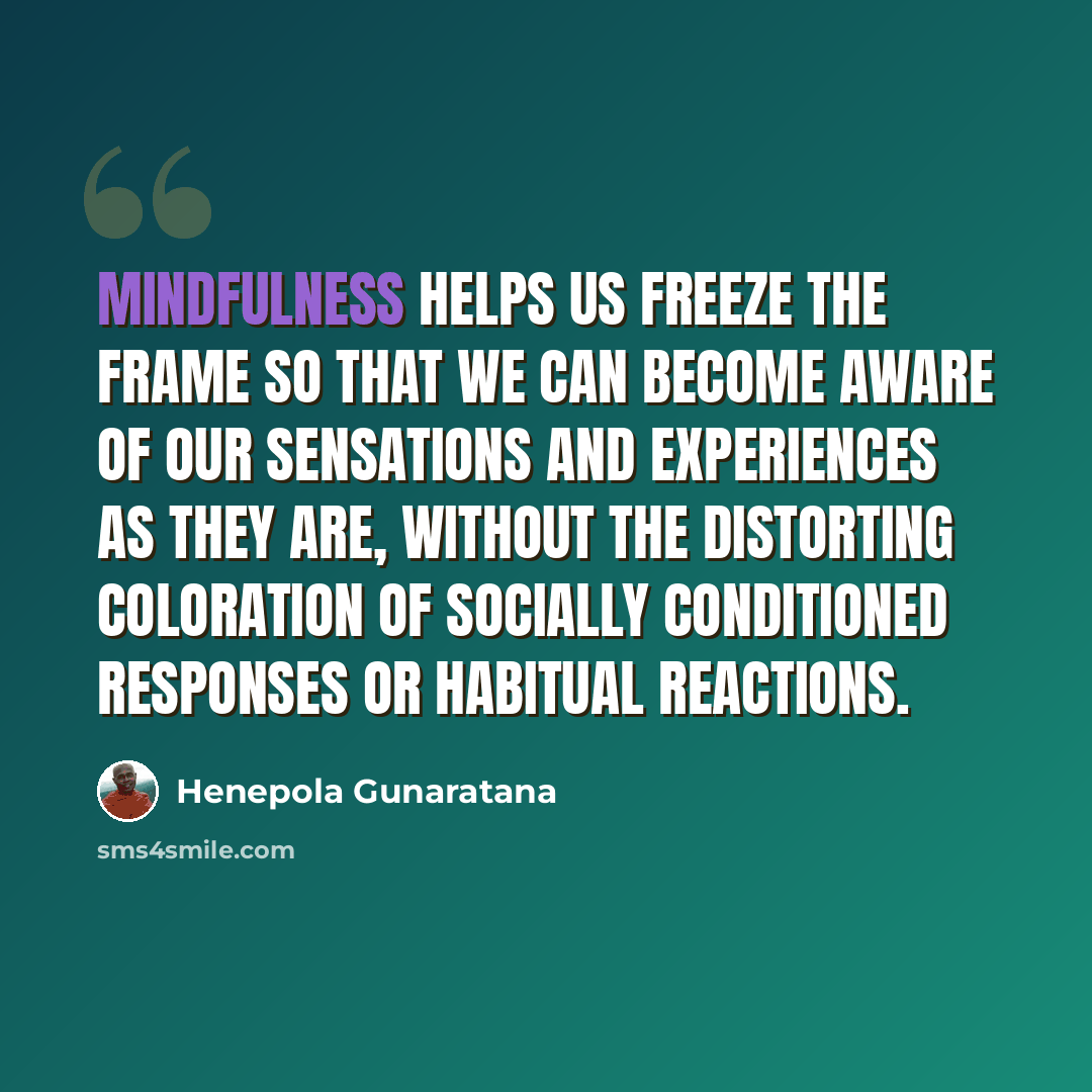 “Mindfulness helps us freeze the frame so that we can become aware of our sensations and experiences as they are, without the distorting coloration of socially conditioned responses or habitual reactions.” quote by Henepola Gunaratana