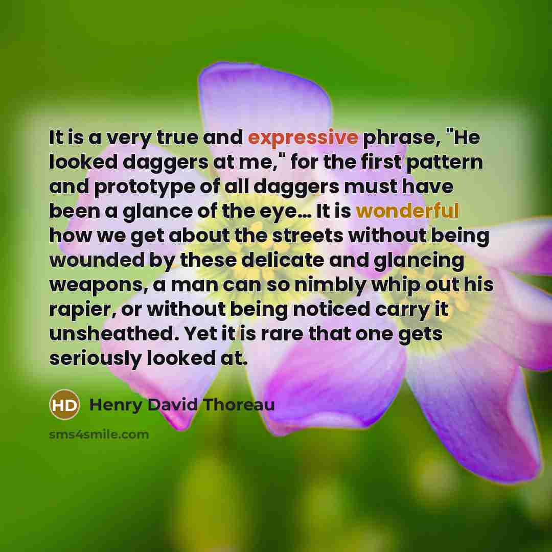 “It is a very true and expressive phrase, "He looked daggers at me," for the first pattern and prototype of all daggers must have been a glance of the eye… It is wonderful how we get about the streets without being wounded by these delicate and glancing weapons, a man can so nimbly whip out his…” quote by Henry David Thoreau