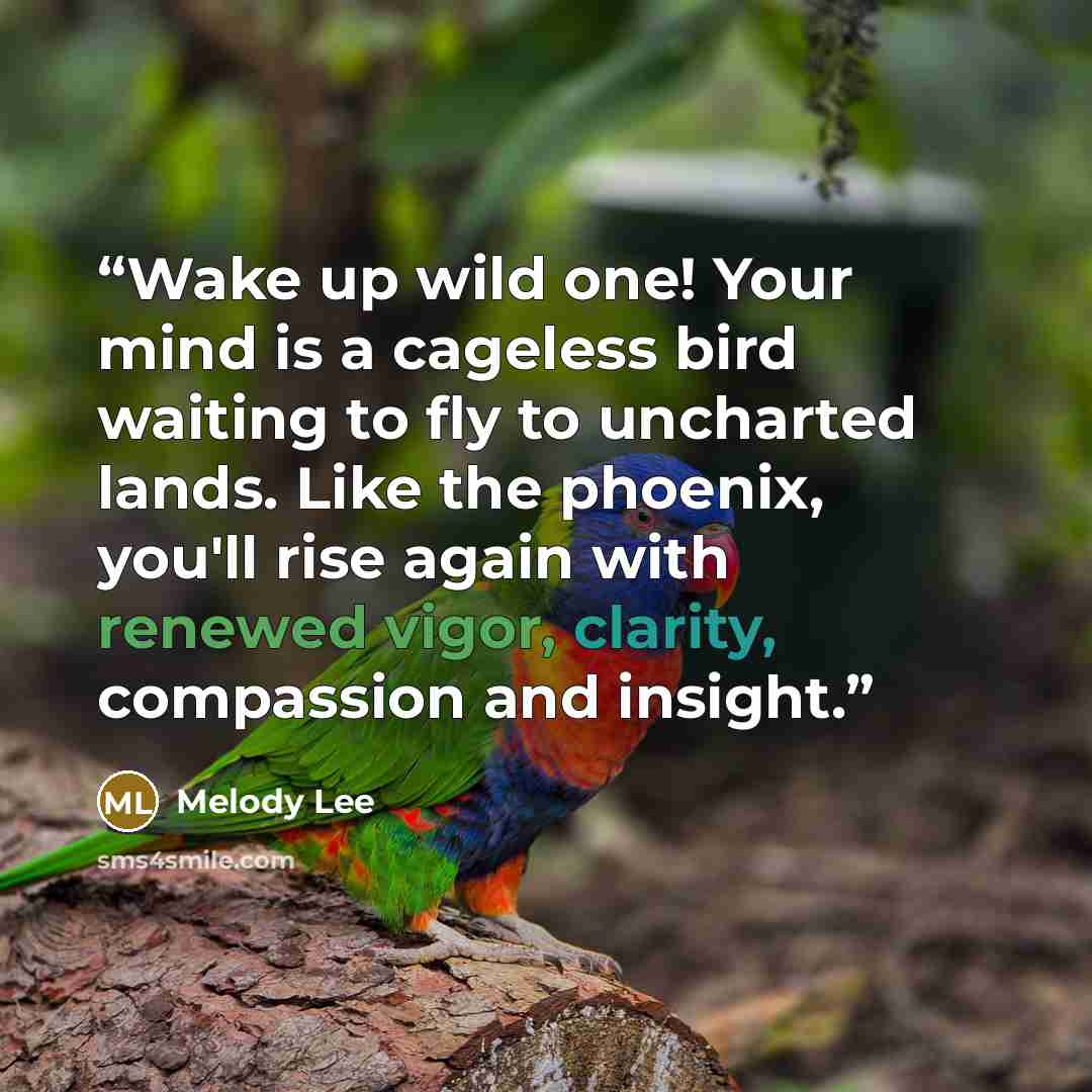 “Wake up wild one! Your mind is a cageless bird waiting to fly to uncharted lands. Like the phoenix, you'll rise again with renewed vigor, clarity, compassion and insight.” quote by Melody Lee