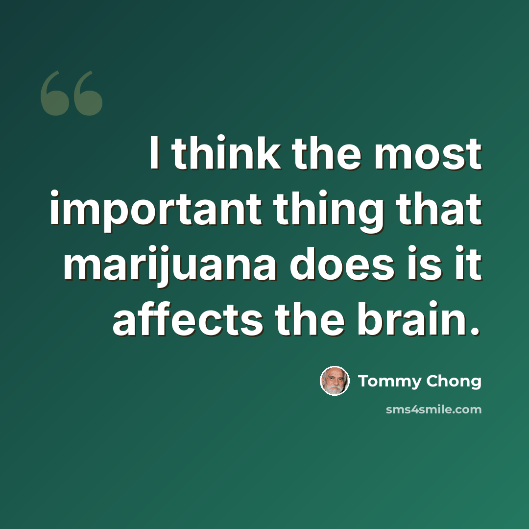 “I think the most important thing that marijuana does is it affects the brain.” quote by Tommy Chong