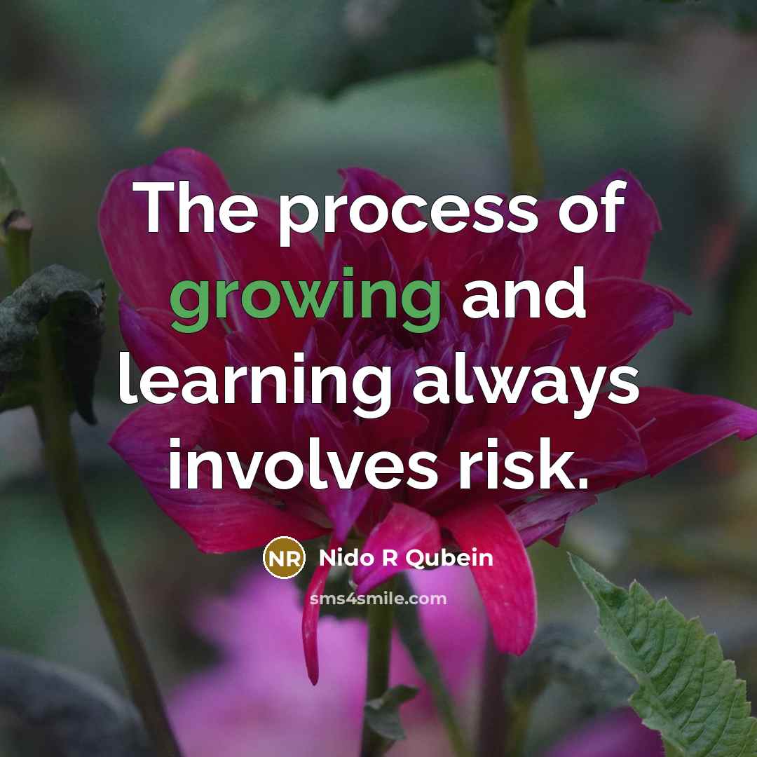 “The process of growing and learning always involves risk.” quote by Nido R Qubein