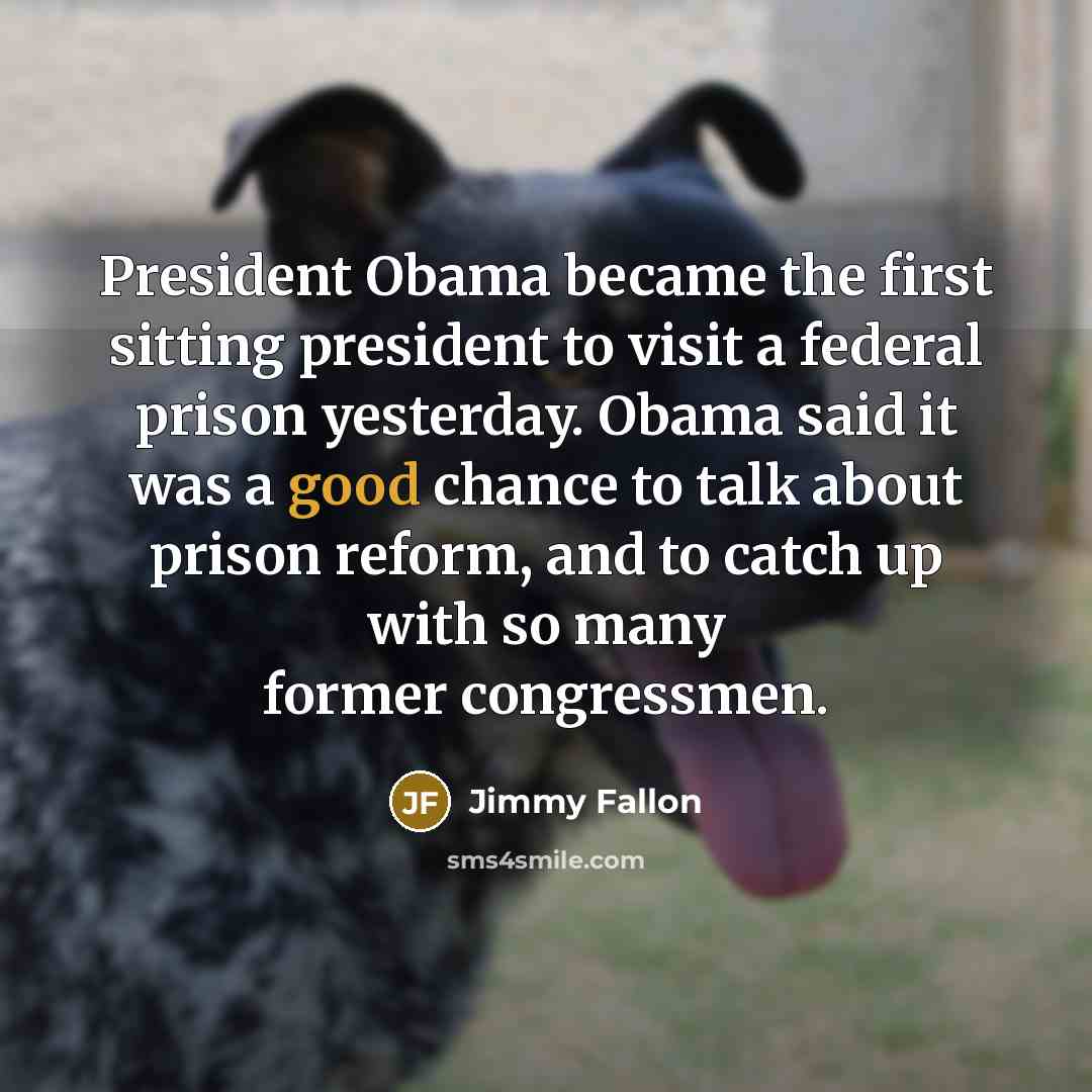 “President Obama became the first sitting president to visit a federal prison yesterday. Obama said it was a good chance to talk about prison reform, and to catch up with so many former congressmen.” quote by Jimmy Fallon