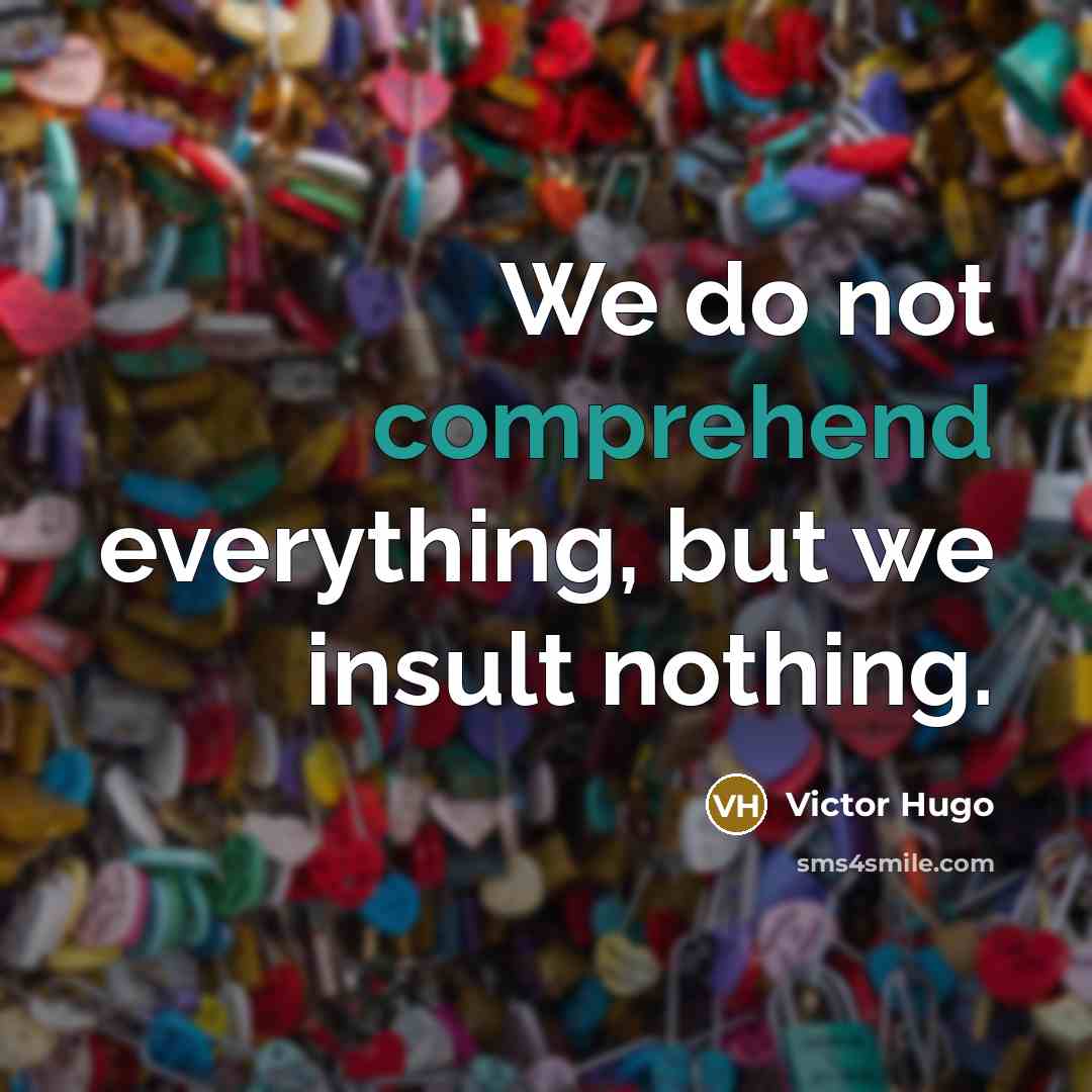 “We do not comprehend everything, but we insult nothing.” quote by Victor Hugo