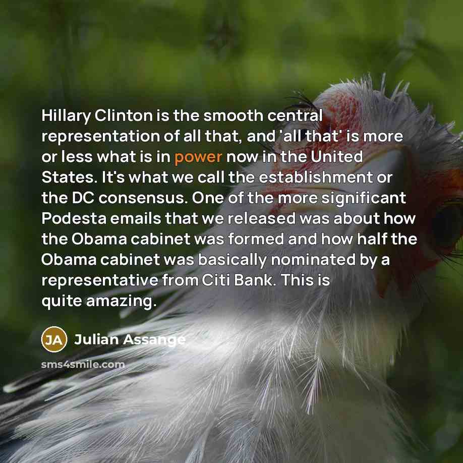 “Hillary Clinton is the smooth central representation of all that, and 'all that' is more or less what is in power now in the United States. It's what we call the establishment or the DC consensus. One of the more significant Podesta emails that we released was about how the Obama cabinet was…” quote by Julian Assange