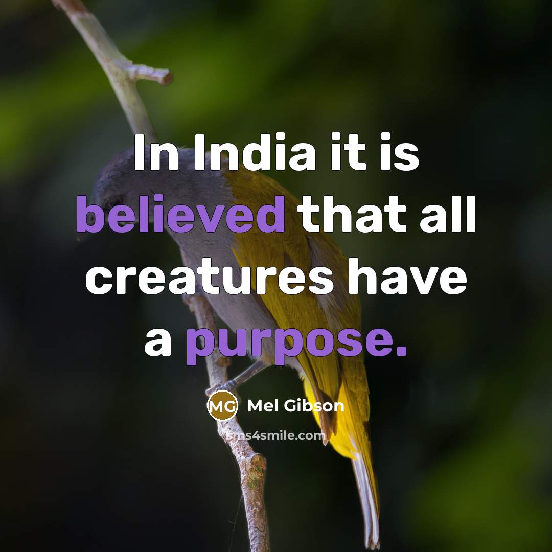 “In India it is believed that all creatures have a purpose.” quote by Mel Gibson