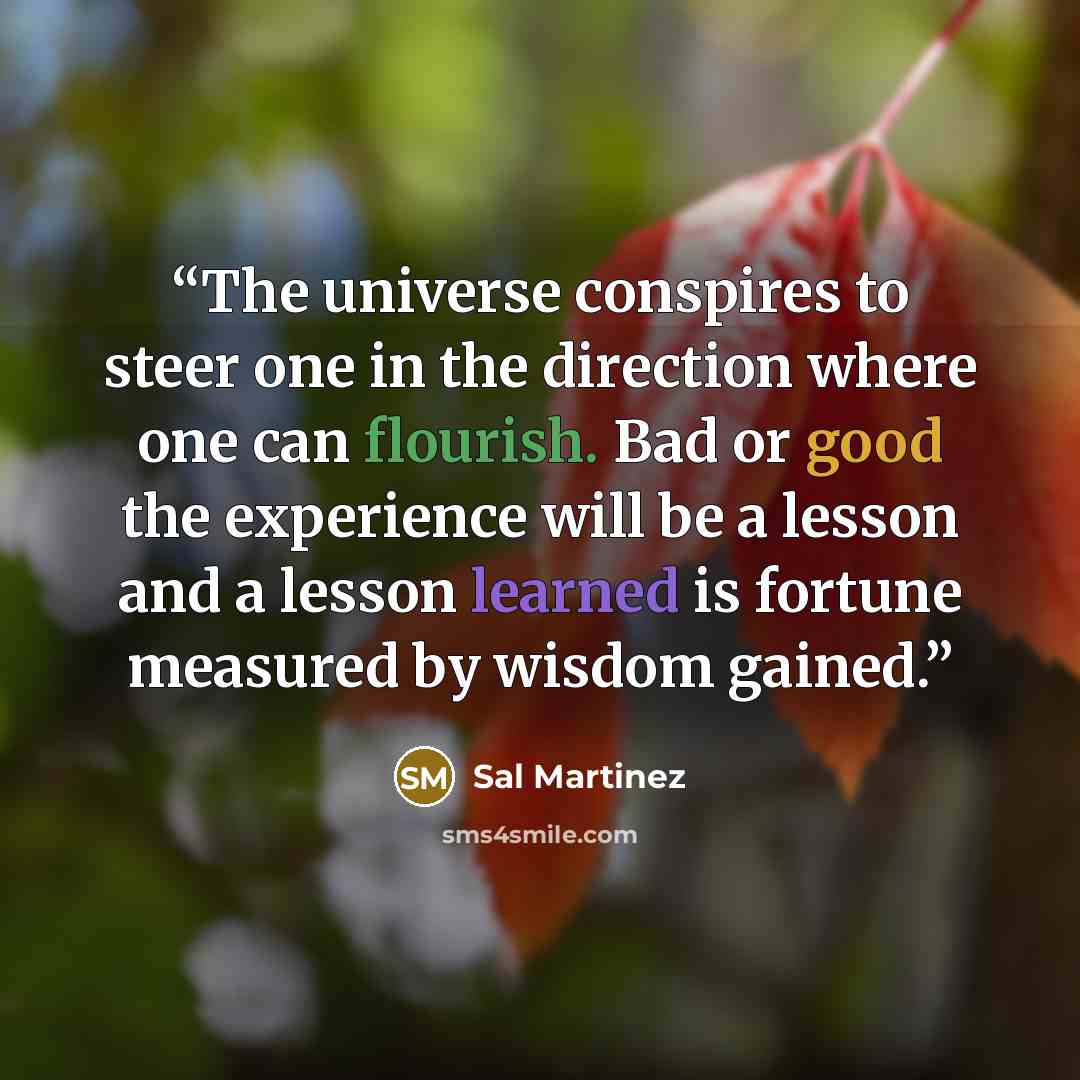 “The universe conspires to steer one in the direction where one can flourish. Bad or good the experience will be a lesson and a lesson learned is fortune measured by wisdom gained.” quote by Sal Martinez