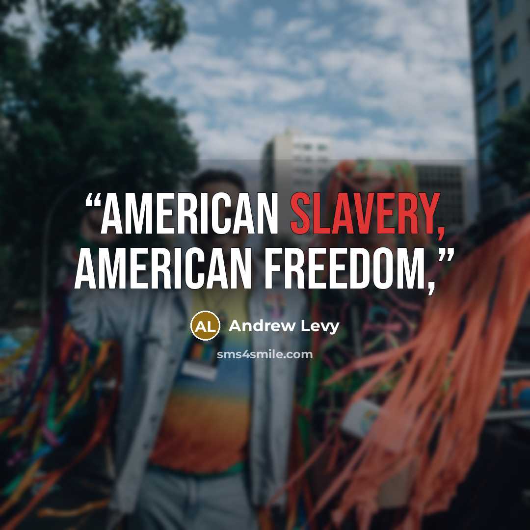 “American Slavery, American Freedom,” quote by Andrew Levy