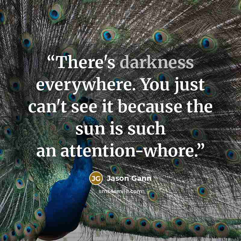 “There's darkness everywhere. You just can't see it because the sun is such an attention-whore.” quote by Jason Gann