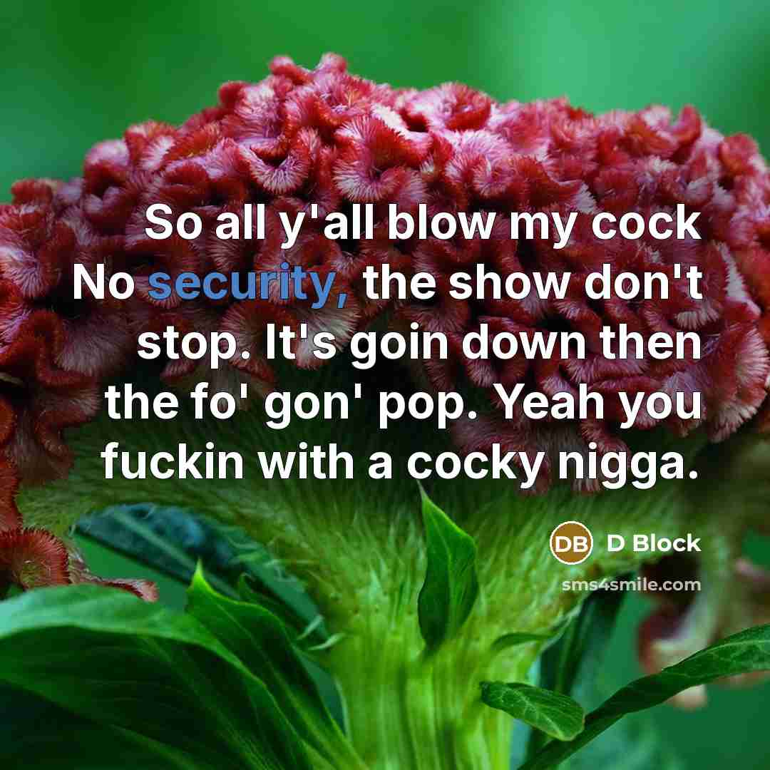 “So all y'all blow my cock No security, the show don't stop. It's goin down then the fo' gon' pop. Yeah you fuckin with a cocky nigga.” quote by D Block