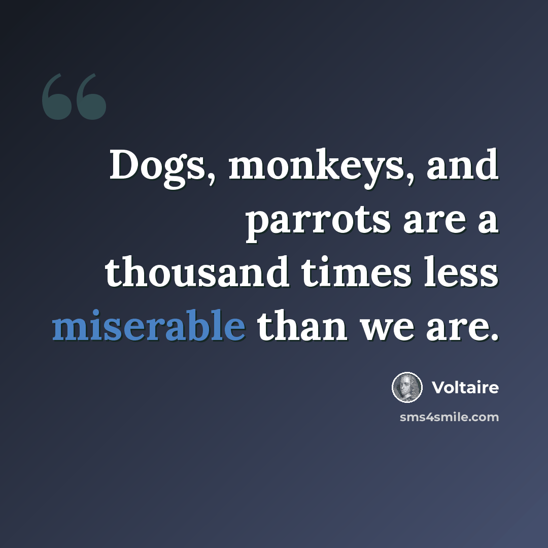 “Dogs, monkeys, and parrots are a thousand times less miserable than we are.” quote by Voltaire