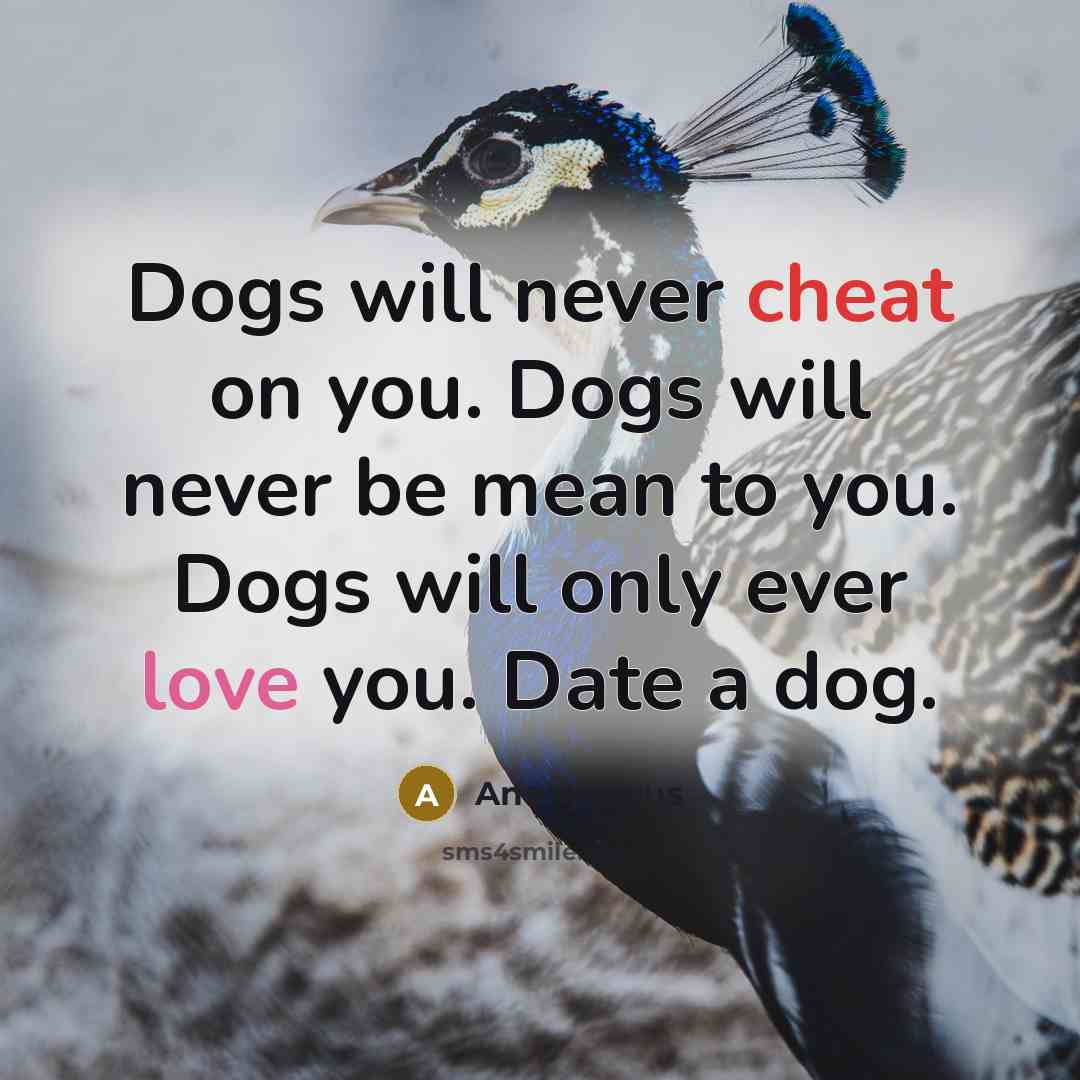 “Dogs will never cheat on you. Dogs will never be mean to you. Dogs will only ever love you. Date a dog.” quote by Anonymous