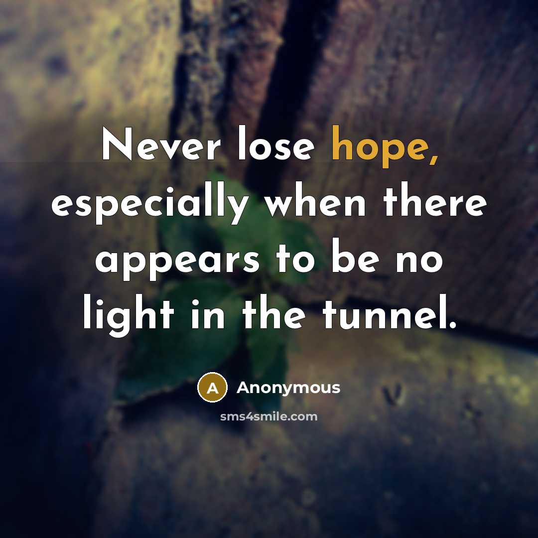“Never lose hope, especially when there appears to be no light in the tunnel.” quote by Anonymous