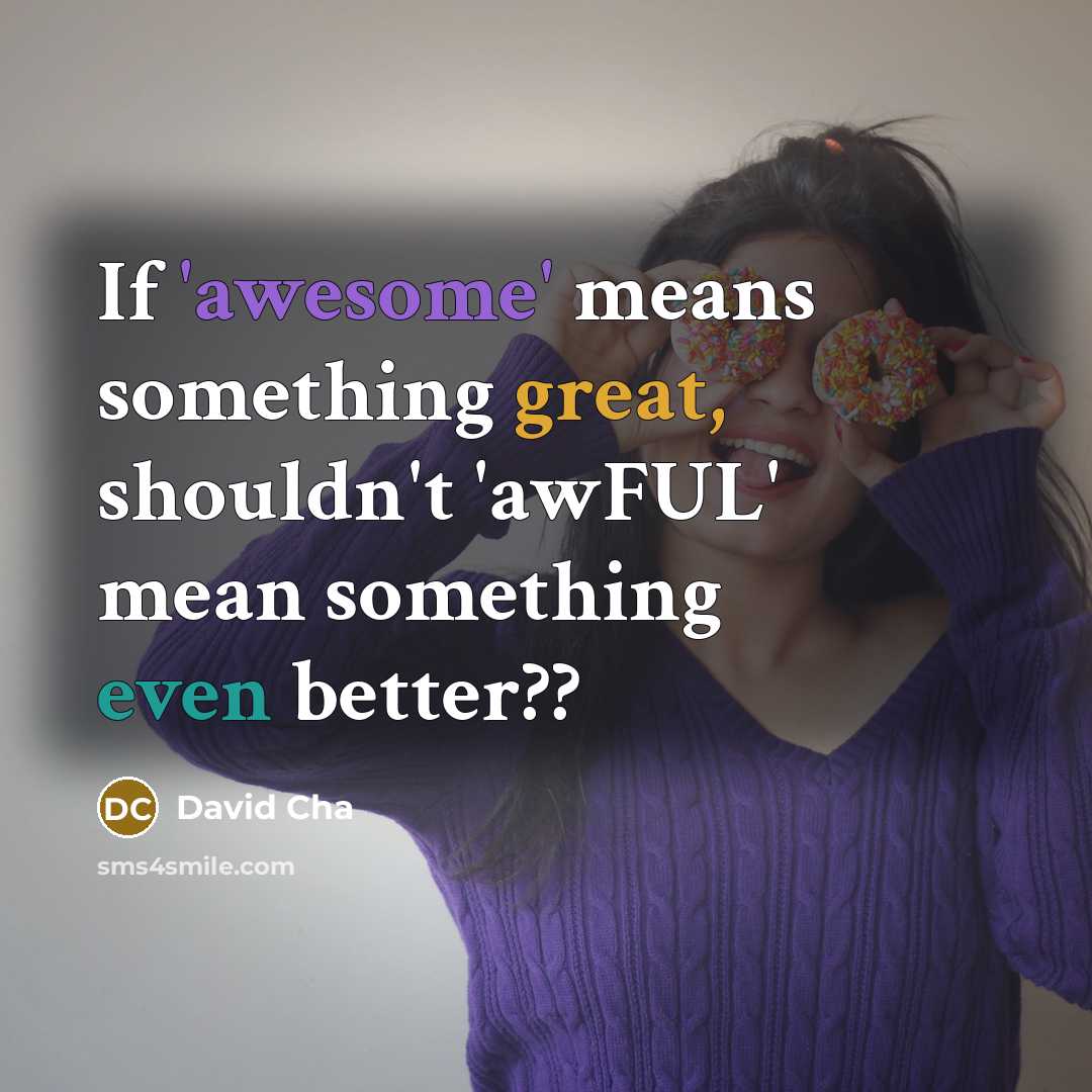 “If 'awesome' means something great, shouldn't 'awFUL' mean something even better??” quote by David Cha