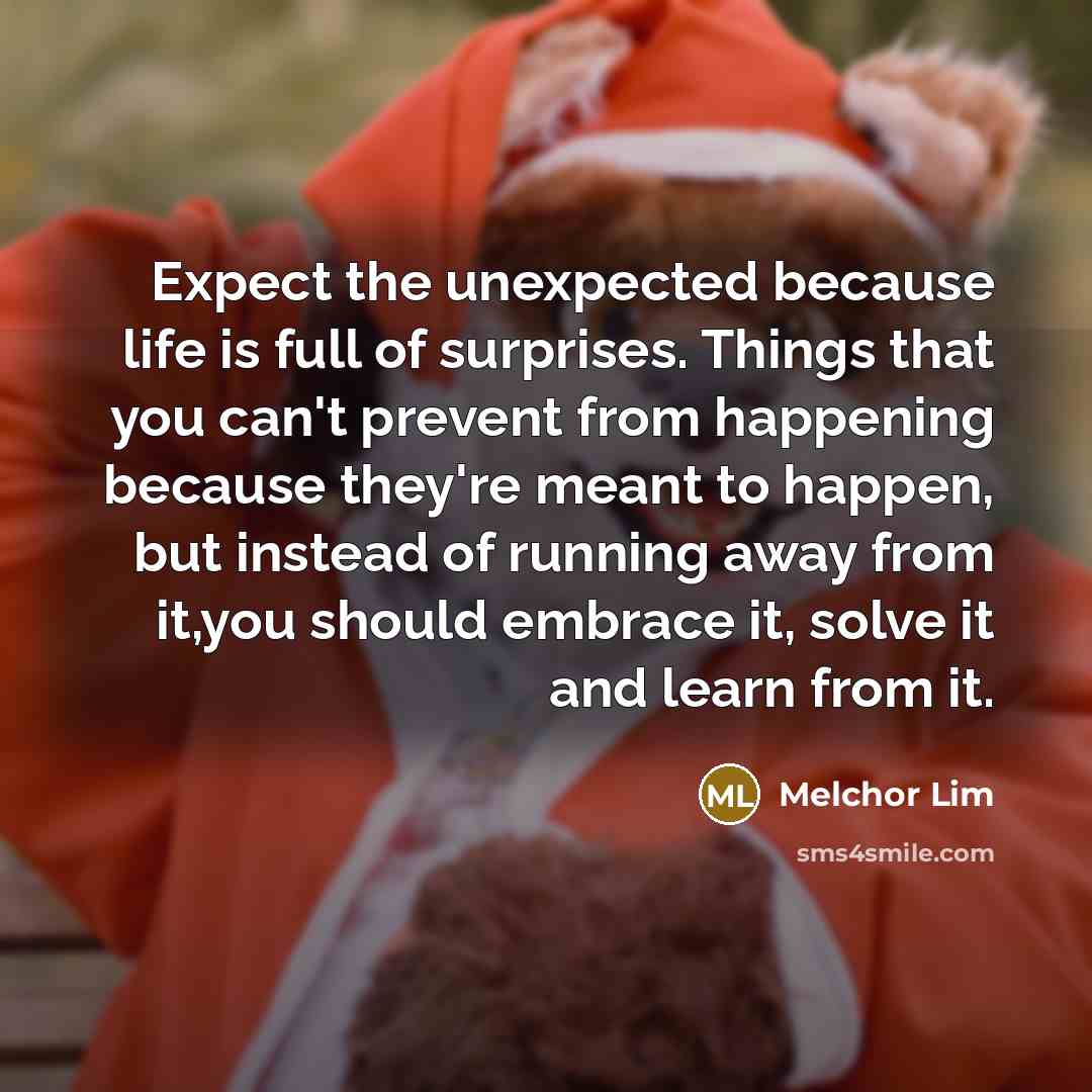 “Expect the unexpected because life is full of surprises. Things that you can't prevent from happening because they're meant to happen, but instead of running away from it,you should embrace it, solve it and learn from it.” quote by Melchor Lim