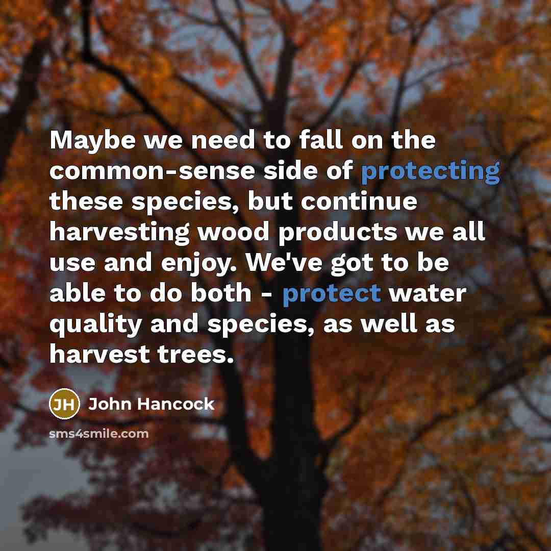 “Maybe we need to fall on the common-sense side of protecting these species, but continue harvesting wood products we all use and enjoy. We've got to be able to do both - protect water quality and species, as well as harvest trees.” quote by John Hancock