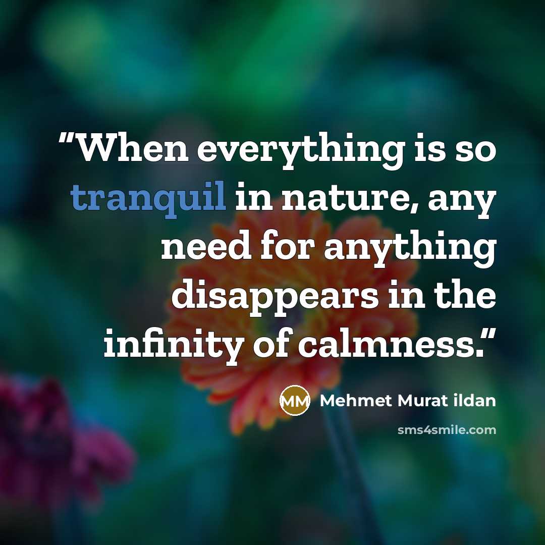 “When everything is so tranquil in nature, any need for anything disappears in the infinity of calmness.” quote by Mehmet Murat ildan