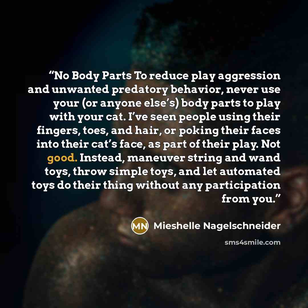 “No Body Parts To reduce play aggression and unwanted predatory behavior, never use your (or anyone else’s) body parts to play with your cat. I’ve seen people using their fingers, toes, and hair, or poking their faces into their cat’s face, as part of their play. Not good. Instead, maneuver string…” quote by Mieshelle Nagelschneider